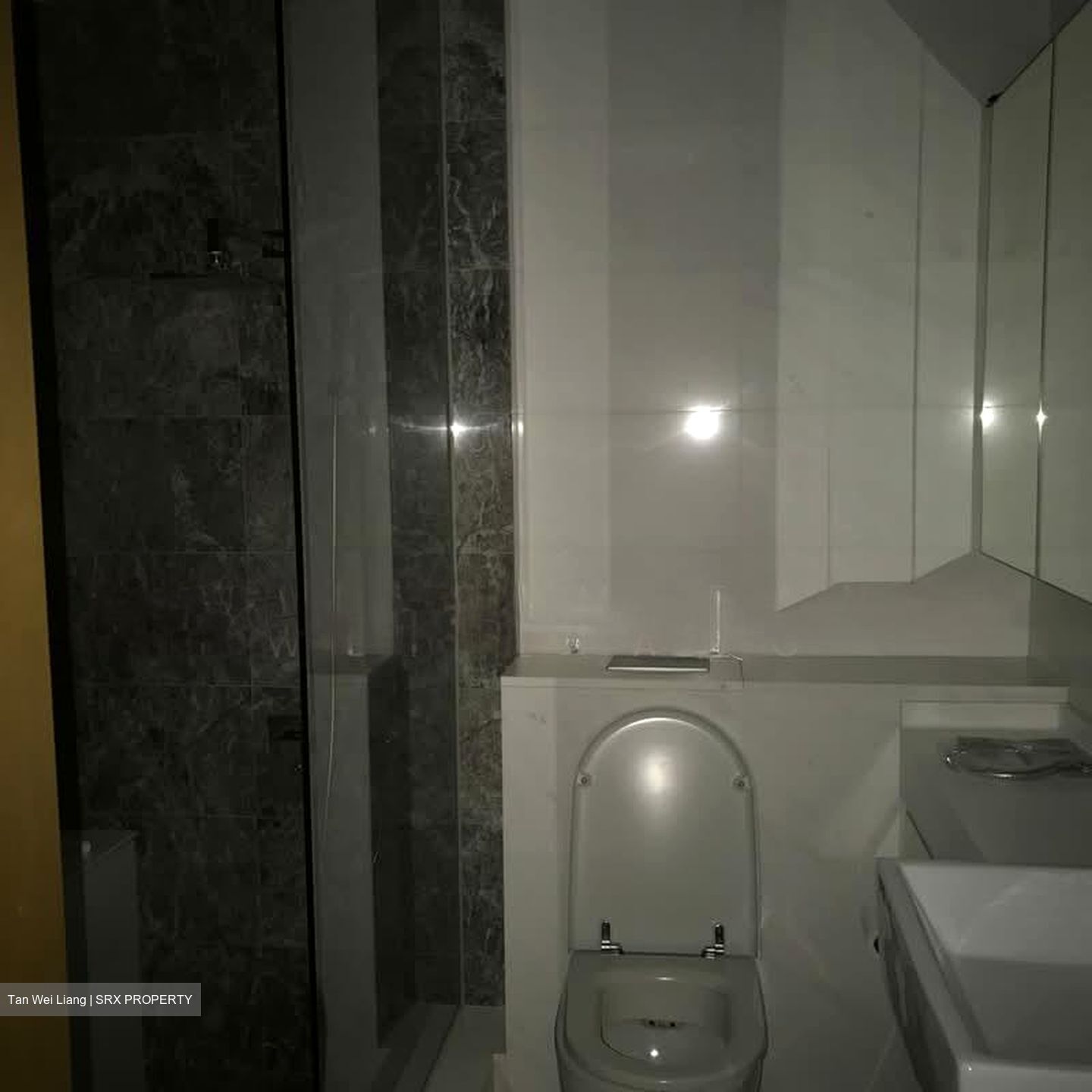 Ola Residences (D15), Condominium #582611081